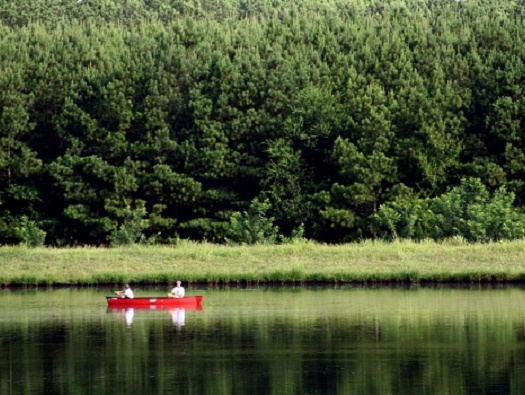 Fishing Lake